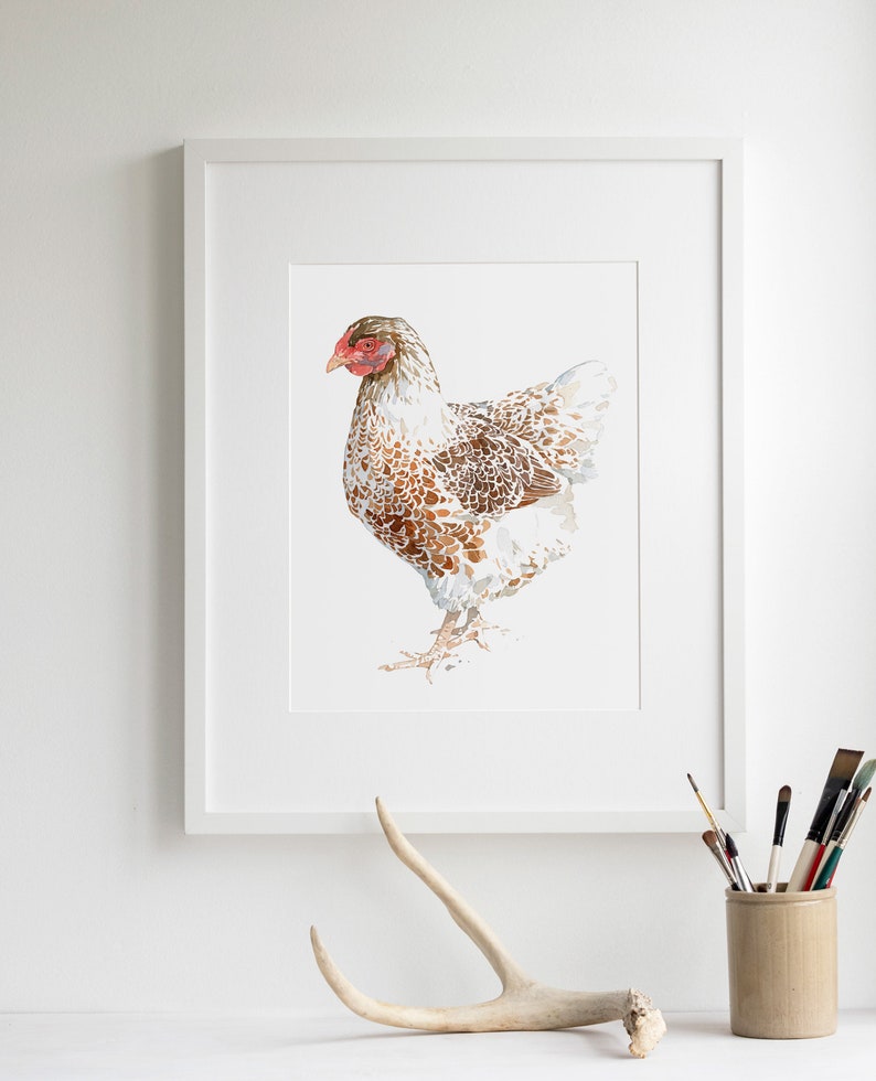 Chicken Watercolor Print White and Brown Hen Farm Animal Print image 3