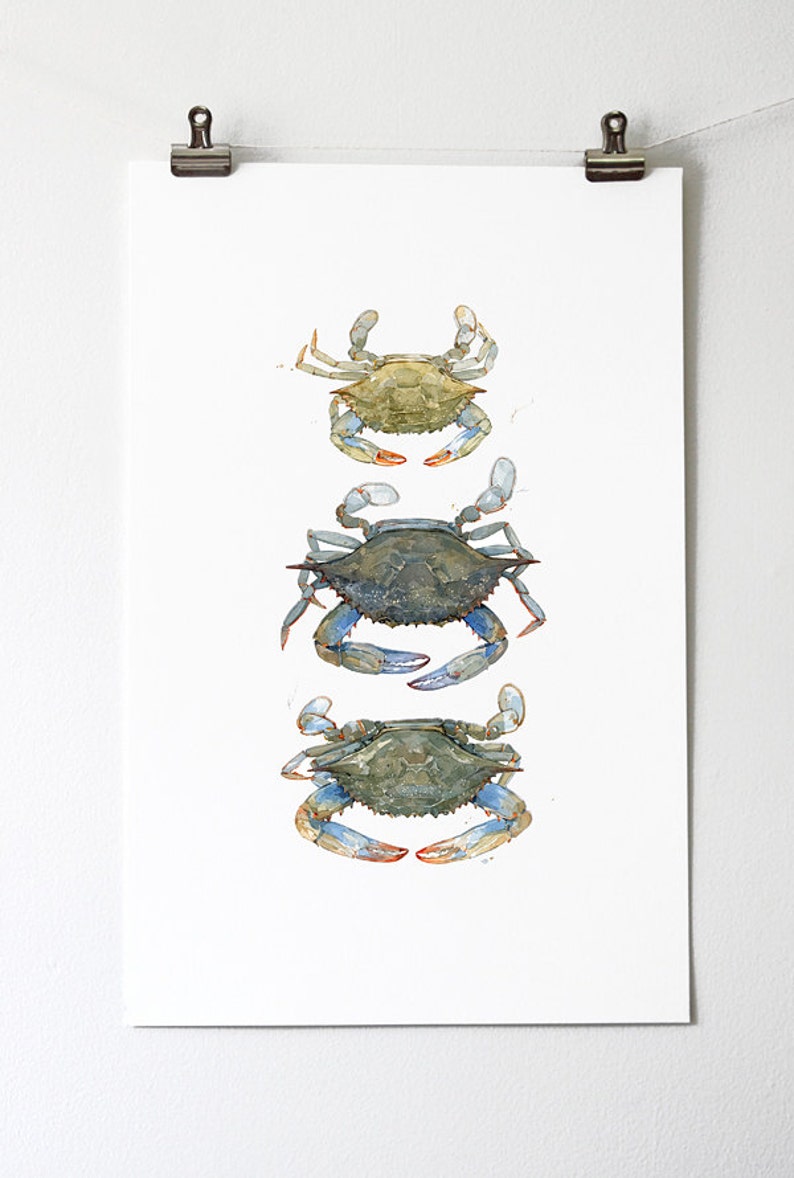 Blue Crabs Watercolor Painting Print Coastal Beach Art Seaside Decor Maryland Blue Crab image 9