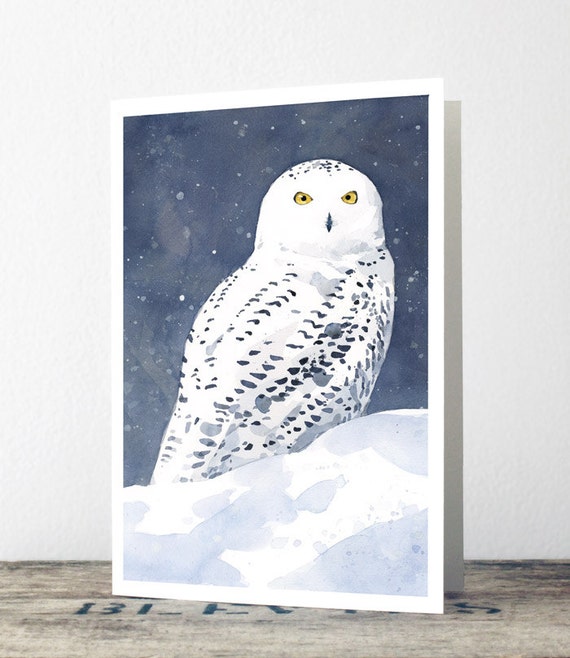 Snowy Owl | 8 Card Set Snowy Owl | 8 Card Set