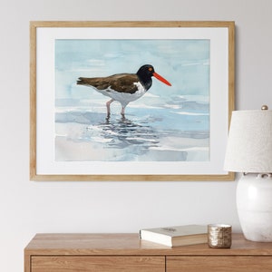 Oystercatcher Print Beach Watercolor Bird Wall Art Coastal Bird Print
