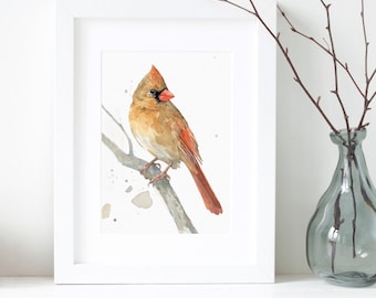 Female Cardinal Watercolor Print, Bird Painting, Birdwatchers Gift