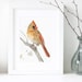 see more listings in the Watercolors: Birds section