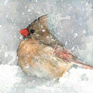 Female Cardinal Watercolor Art Print Bird In Snow Painting Backyard Birds image 3