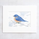 Bird Art