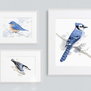 Blue Jay Print Bird Watercolor Painting Art Print image 4