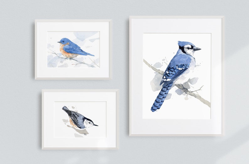 Blue Jay Print Bird Watercolor Painting Art Print image 4