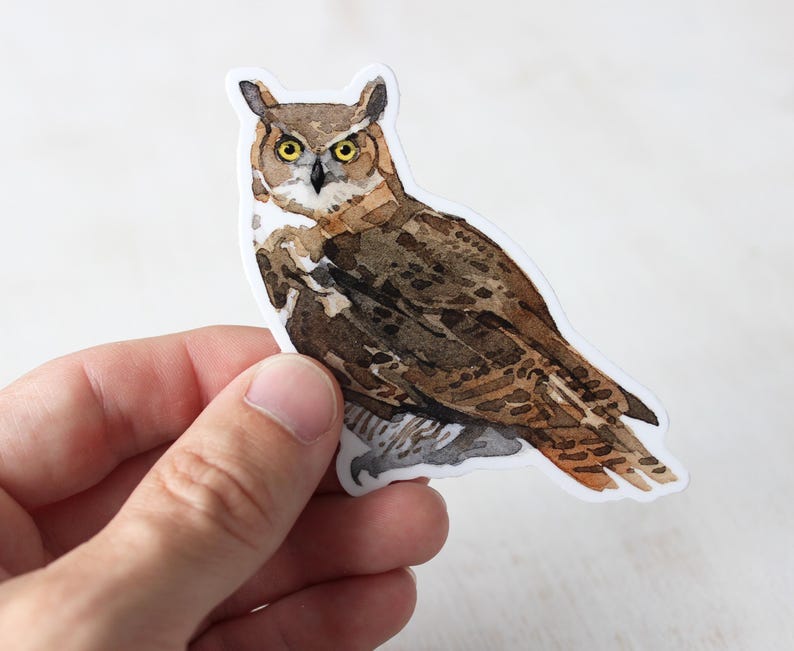 Puede incluir: Una ilustraci&oacute;n de acuarela de un b&uacute;ho marr&oacute;n y gris con ojos amarillos. El b&uacute;ho est&aacute; posado en una rama con las alas extendidas.