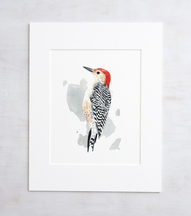 Red-bellied Woodpecker Print Watercolor Bird Painting Bird Wall Art image 1