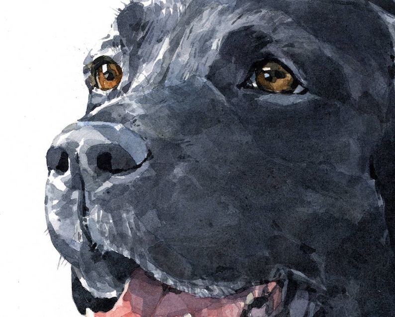 Impression d'art chien de laboratoire noir Labrador retriever aquarelle, édition limitée 8 x 10 image 5