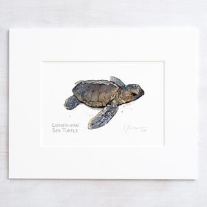 May include: Watercolor painting of a Loggerhead Sea Turtle hatchling on a sandy beach. The turtle is facing right and has a brown shell with black markings. The painting is signed and dated.