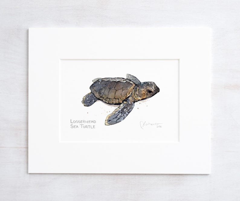 May include: Watercolor painting of a Loggerhead Sea Turtle hatchling on a sandy beach. The turtle is facing right and has a brown shell with black markings. The painting is signed and dated.