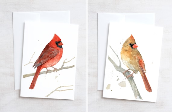 Mug Bird Nature Animal Watching Winter Gift Christmas Details about / Cardinal