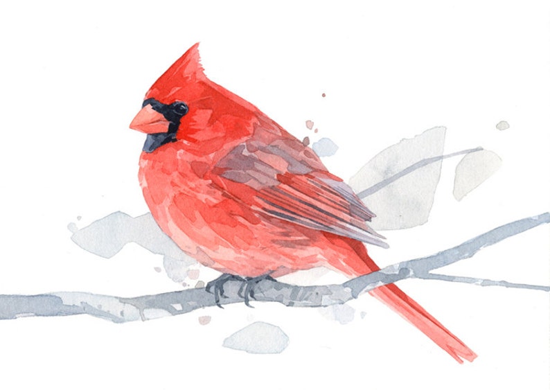 Red Cardinal Watercolor Art Print 5x7 Bird Painting Wall Art Etsy