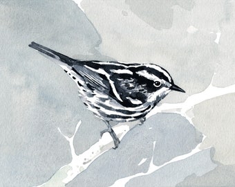 Black and White Warbler Watercolor Print Small Bird Wall Art