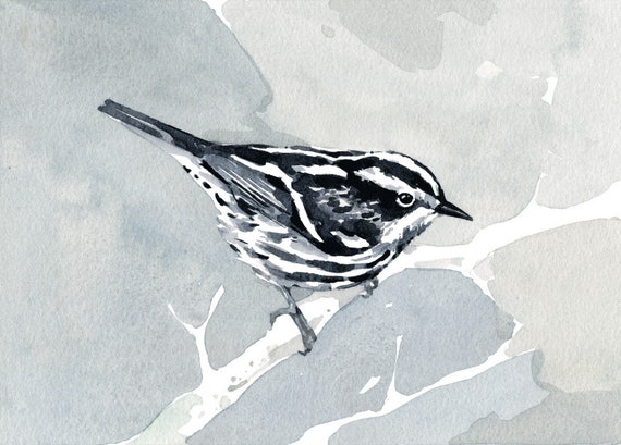 Paruline Noir Et Blanc Des Fleurs De Cerisier Petit Oiseau Art Mural