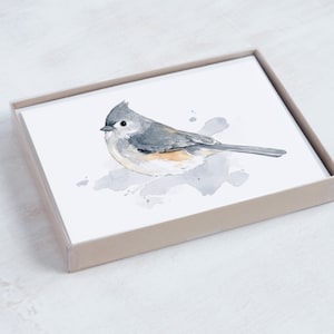 May include: A watercolour painting of a tufted titmouse bird with grey and white feathers, perched on a branch with a light grey background.