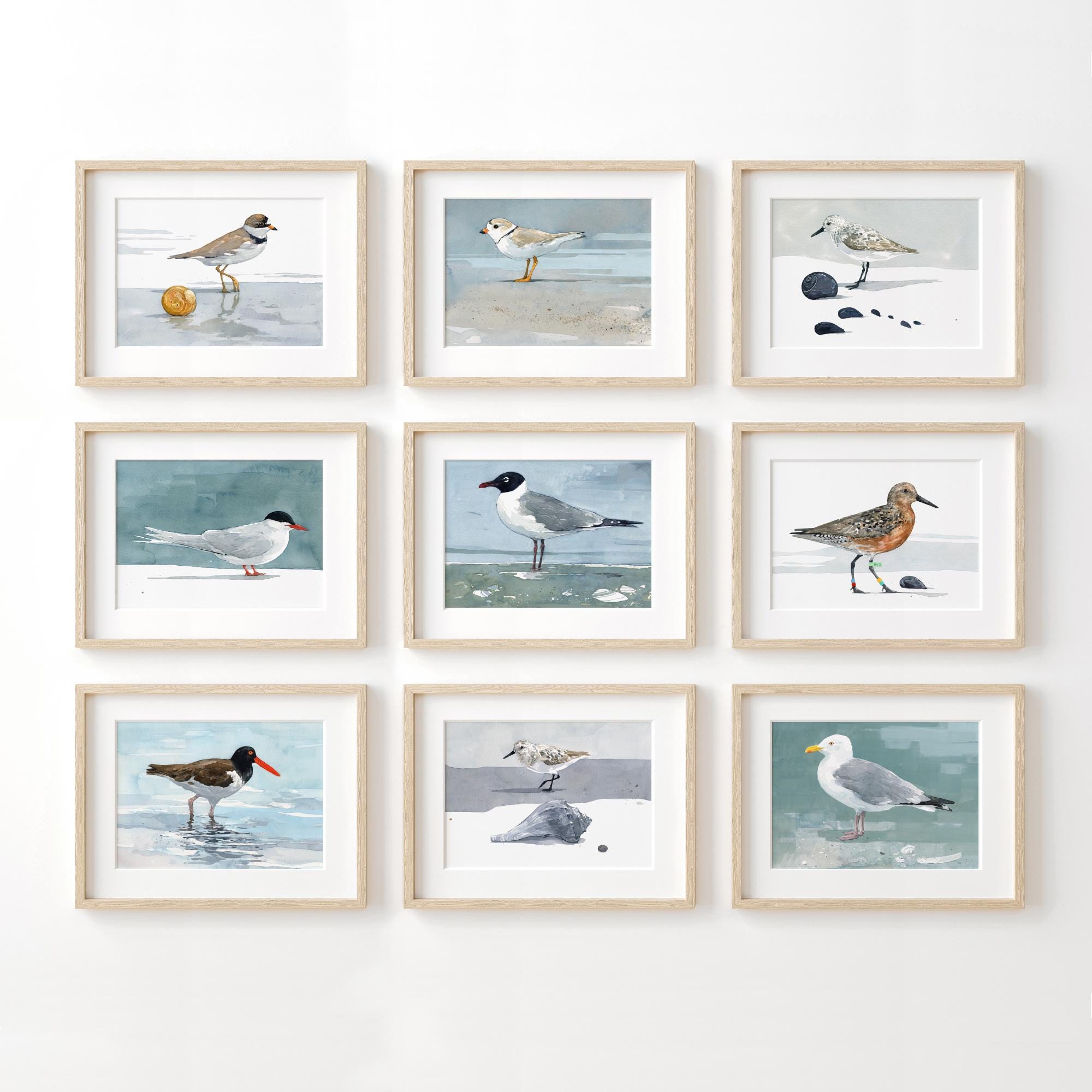 キョクアジサシの水彩画プリント 海鳥の壁アート - Etsy 日本