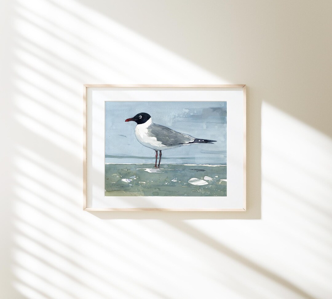 Laughing Gull Beach Print Coastal Wall Art - Etsy