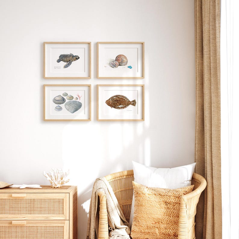 May include: Four framed watercolor illustrations of marine life, including a sea turtle, a seashell, a flatfish, and a group of seashells. The frames are light wood and the illustrations are on white paper.