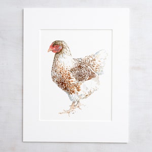 Chicken Watercolor Print White and Brown Hen Farm Animal Print