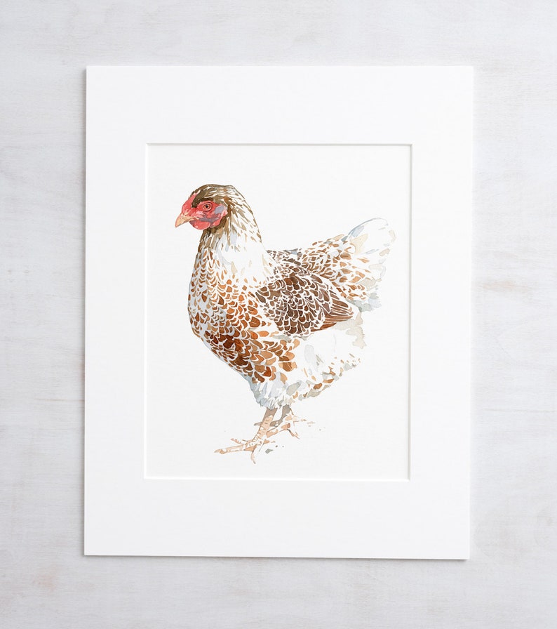 Chicken Watercolor Print White and Brown Hen Farm Animal Print image 5