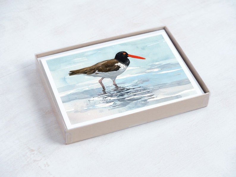 Shorebird Beach Card Set Mixed Bird Art Stationery Gift Set image 3