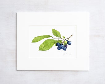 Blueberries Botanical Watercolor Print Botanical Watercolor