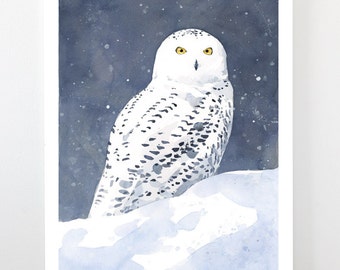 Snowy Owl Watercolor Fine Art Print Winter Bird Painting