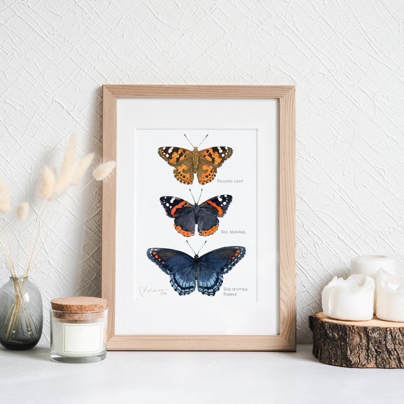 Butterfly Tier Watercolor Art Print image 1