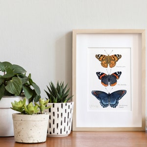 Butterfly Tier Watercolor Art Print image 4