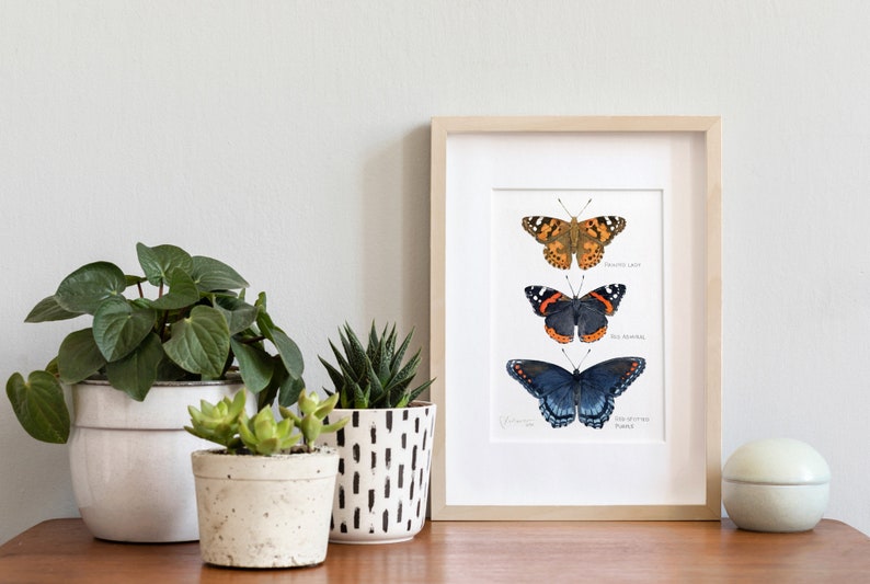 Butterfly Tier Watercolor Art Print image 4