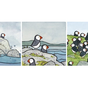 May include: Three watercolor illustrations of puffins on rocky islands. The first image shows a small group of puffins on a rocky island with blue water in the foreground. The second image shows two puffins on a rocky island with a body of water in the background. The third image shows a large group of puffins on a grassy island.