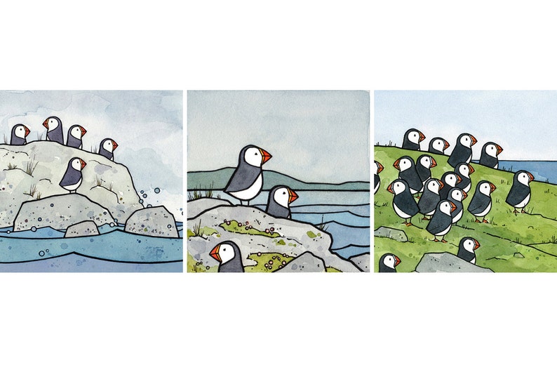 May include: Three watercolor illustrations of puffins on rocky islands. The first image shows a small group of puffins on a rocky island with blue water in the foreground. The second image shows two puffins on a rocky island with a body of water in the background. The third image shows a large group of puffins on a grassy island.