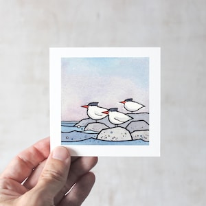 Terns Miniature Art Print Birds Watercolor Illustration Royal Tern Illustration