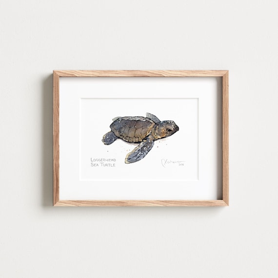 Loggerhead Sea Turtle Print: Fine Art Watercolor Giclee
