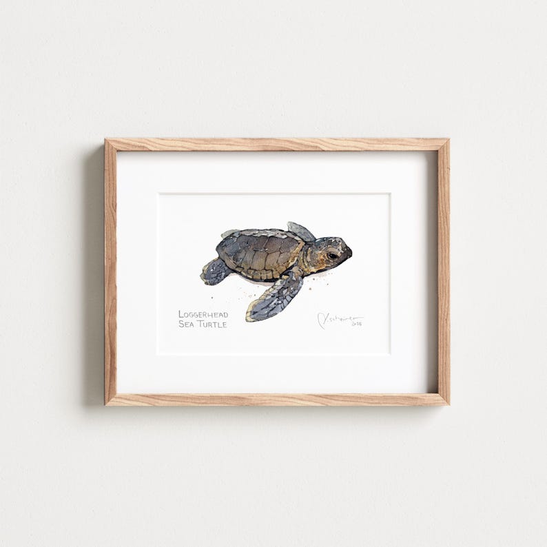 May include: A watercolor painting of a Loggerhead Sea Turtle hatchling. The turtle is swimming in the ocean. The painting is framed in a light wood frame.