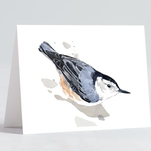 May include: Watercolour painting of a white-breasted nuthatch bird with grey and black wings, perched on a branch with a light brown background.