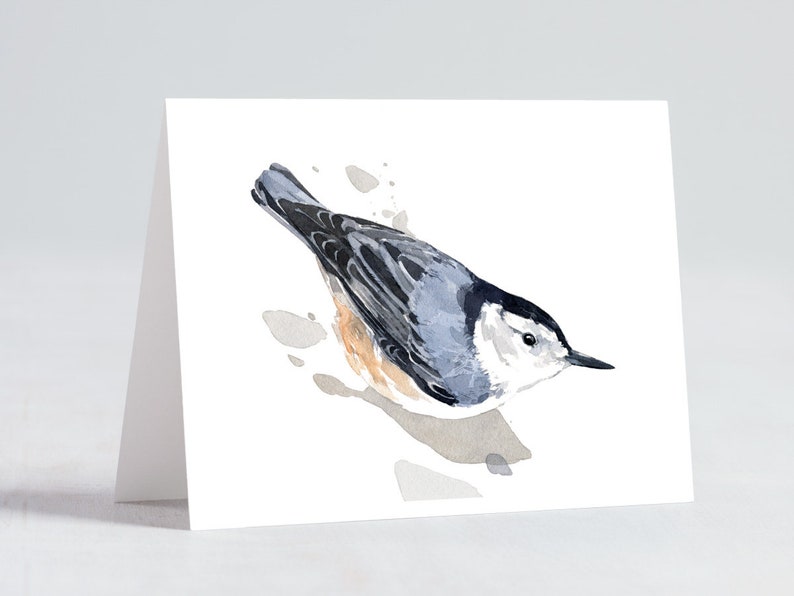May include: Watercolour painting of a white-breasted nuthatch bird with grey and black wings, perched on a branch with a light brown background.