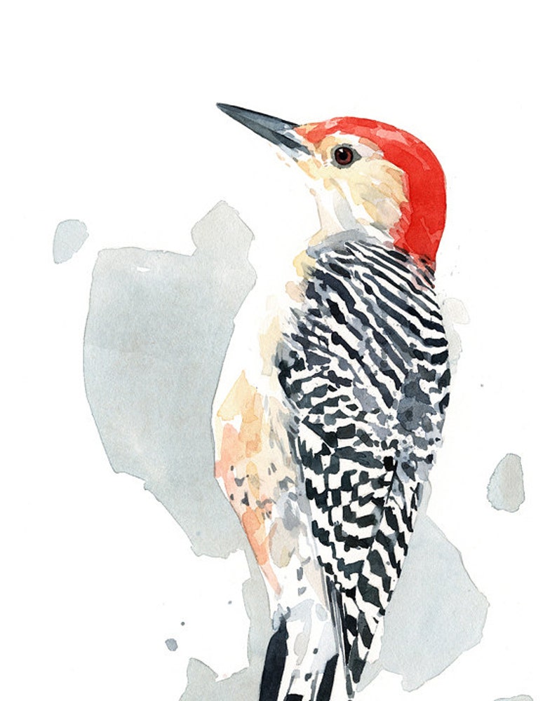 Red-bellied Woodpecker Print Watercolor Bird Painting Bird Wall Art image 4