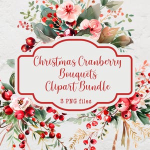 Pacote de clipart de buquês de cranberry de Natal, imagens de clipart floral de inverno, 3 arquivos PNG, clipart floral em aquarela, clipart de uso comercial