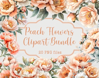 Pacote de clipart floral de pêssego, imagens de clipart de flores de pêssego, 20 arquivos PNG florais, clipart de uso comercial, buquês florais de casamento em aquarela