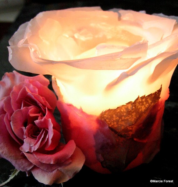 Items similar to Luxury Gift for Her, Unique Candle, Beeswax Rose