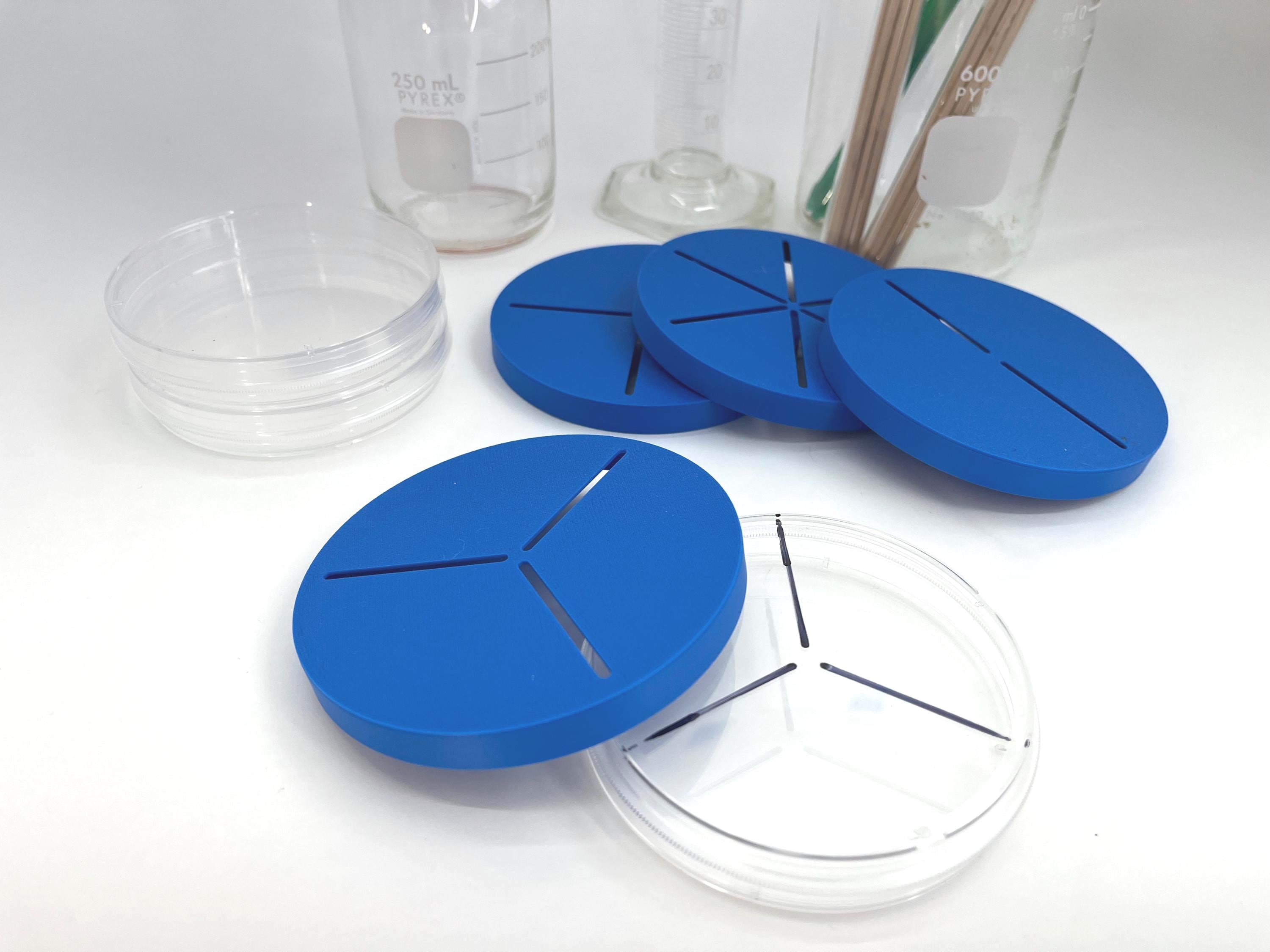 Petri Dish Divider Templates: Lab Organization & Cell Culture - Etsy