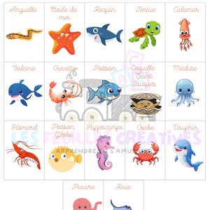 Puede incluir: Un colorido póster educativo con ilustraciones de dibujos animados de varias criaturas marinas, incluyendo un tiburón, una tortuga y un pulpo. El título francés "Les animaux marins" está en la parte superior. Cada criatura está etiquetada con su nombre francés.