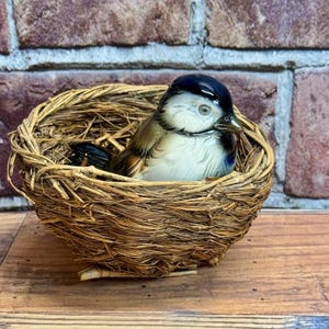 Vintage Goebel Porcelain Blue Brown Sparrow Bird W Germany Figurine In Nest