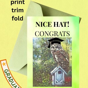 Félicitations pour l'obtention du diplôme, joli chapeau, hibou, drôle de carte de voeux numérique vierge abeilles/réalisation/obtention du diplôme/gingembre CritterArt Jamerson