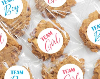 Team Boy & Girl Gender Reveal Stickers Personalized Stickers for Party Favors, Envelope, Cups Baby Reveal Party Decoration Baby Shower Decor