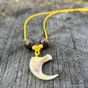 Tiger claw pendant - Etsy 日本
