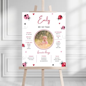 May include: A white and pink printable poster with a ladybug theme for a baby's first birthday. The poster includes a photo of the baby, the baby's name "Emily", and details about the baby's first year, including height, weight, nickname, teeth, favorite things, and a message about the baby being happy and smiling.