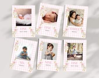 May include: A set of ten pink and white gingham baby milestone cards with images of a baby girl at different ages. Each card features a cute illustration of a goose and the baby's age in months. The cards say "One Silly Goose", "One Month", "Three Months", "Six Months", "Nine Months", and "One Silly Goose".